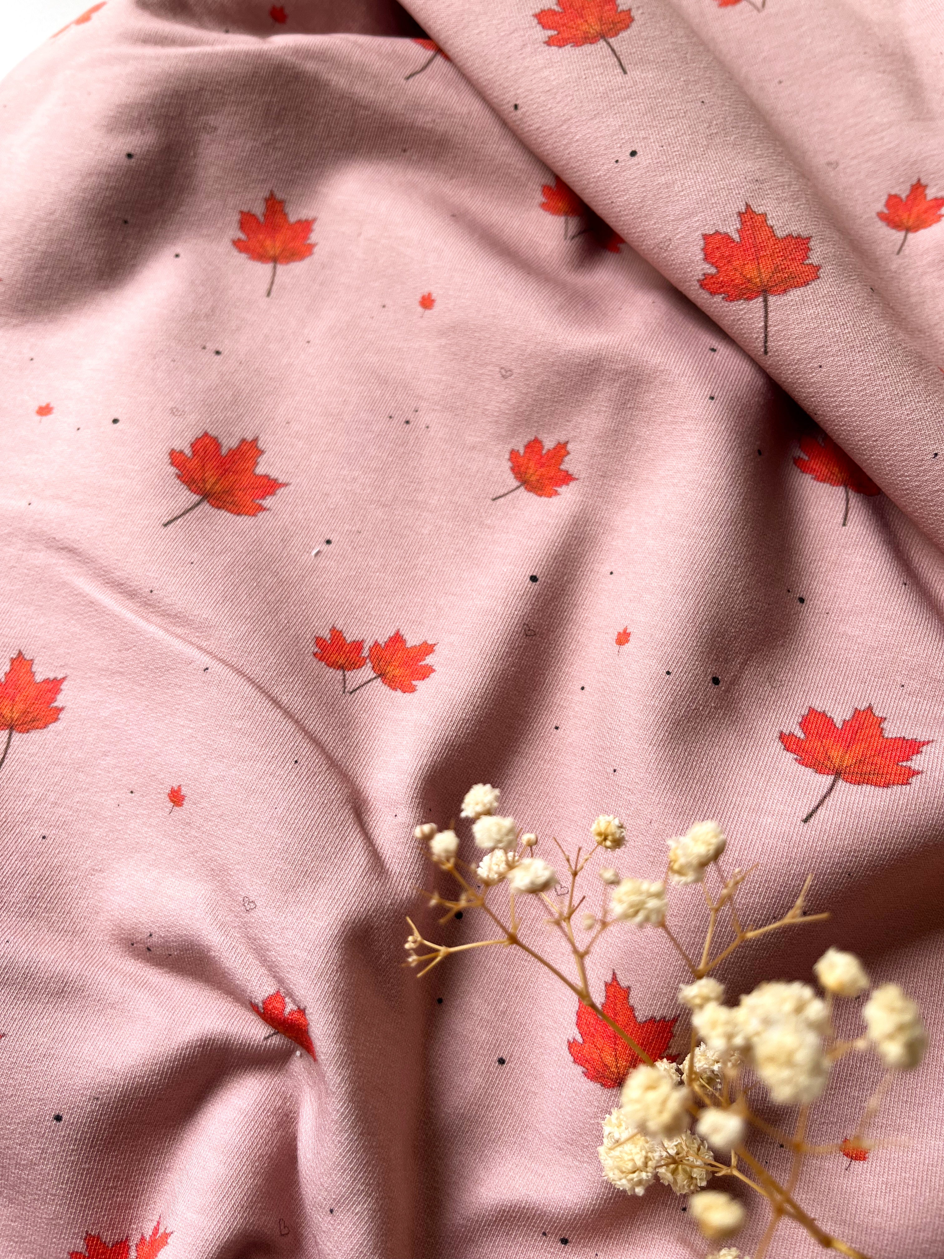 Herbst Blätter Eigenproduktion